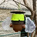 Piège à frelons asiatiques - VelutinaTrap - avec attractif 500 ml
