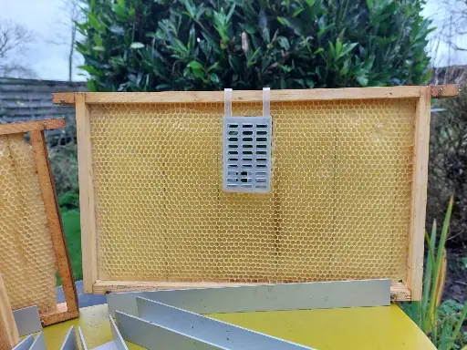 cage Mozzato